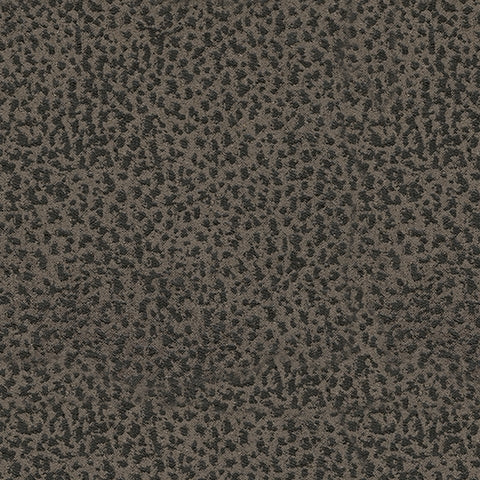 Camera Time Living Room