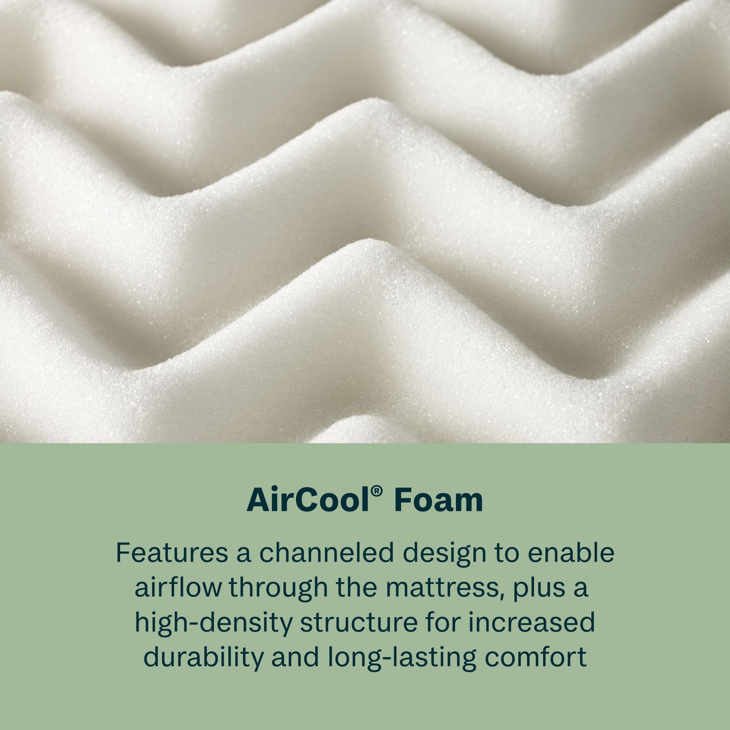 Soothing Nights - 8" Medium Mattress In A Box