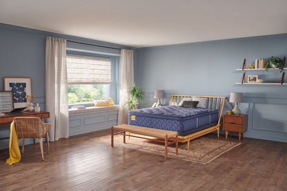 Golden Elegance - Forsyth Park Soft Euro Pillow Top Mattress