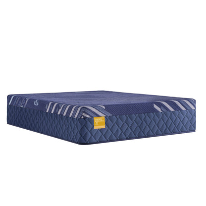 Golden Elegance - Forsyth Park Soft Mattress