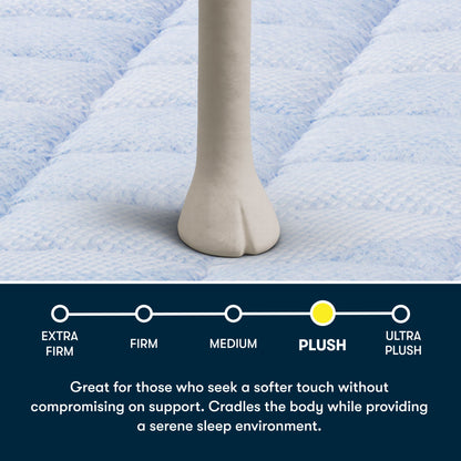 Five Star Mattress - Sleep to Go 16" Plush Pillow Top Mattress in a Box