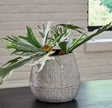 Furniture City Slidell - Ashley Furniture - Claymount Vase - Vase / Distressed Brown - A2000636