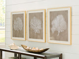 Furniture City Slidell - Ashley Furniture - Hendridge Wall Decor - Wall Art Set (3/CN) / Taupe/White - A8000486