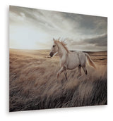 Furniture City Slidell - Ashley Furniture - Errolville Wall Decor - Wall Art / Multi - A8000489