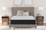 Palisades Plush Mattresses