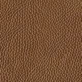 Temmpton Living Room