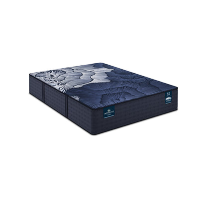 Perfect Sleeper Hybrid - 14" X Prescott Plush Mattress