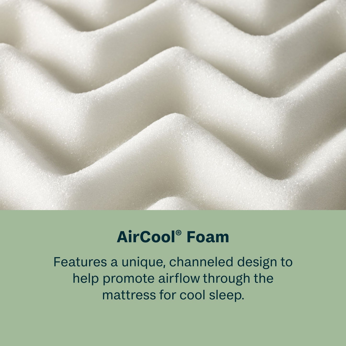 Peaceful Morning - 14.25" Ultra Plush Pillow Top Mattress