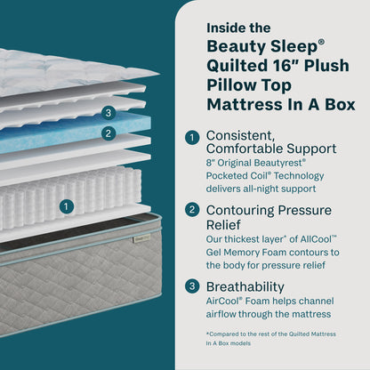 Soothing Nights - 16" Plush Pillow Top Mattress In A Box